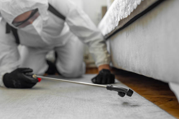Professional Bed Bug Control technician working in Goshen County County, WY